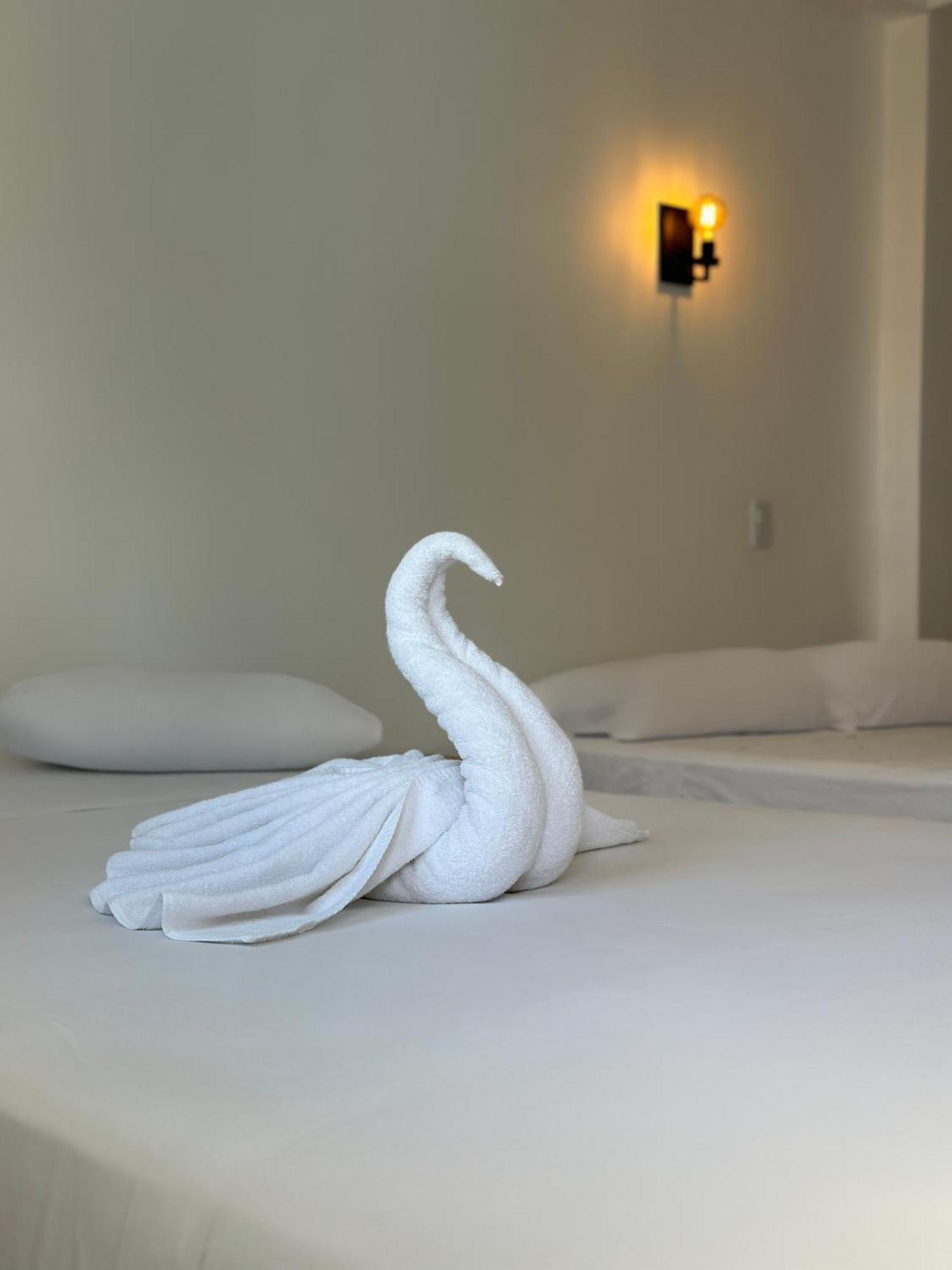 De Mar Hotel プレヤデルカーメン エクステリア 写真